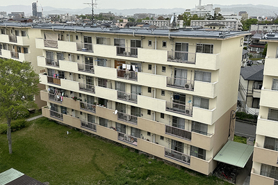 桜丘団地屋根防水修繕工事