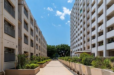 所沢パークタウン駅前プラザ・駅前通り