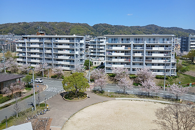 アルビス緑丘外壁修繕・エントランス改修その他工事