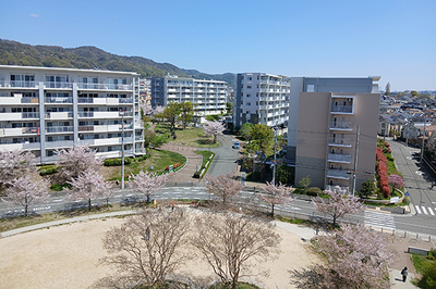アルビス緑丘外壁修繕・エントランス改修その他工事