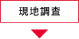 現地調査